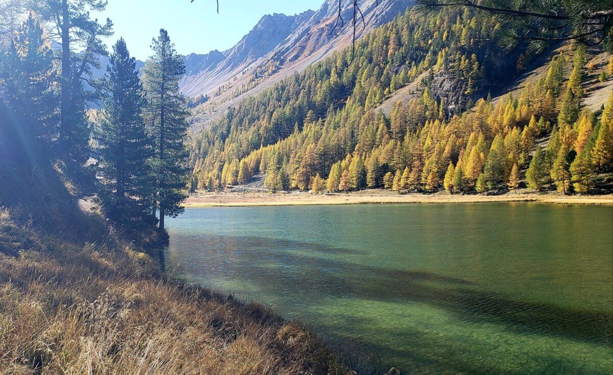 Paysage : Lac de l'Orceyrette